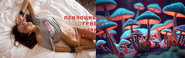 хмурый Медногорск