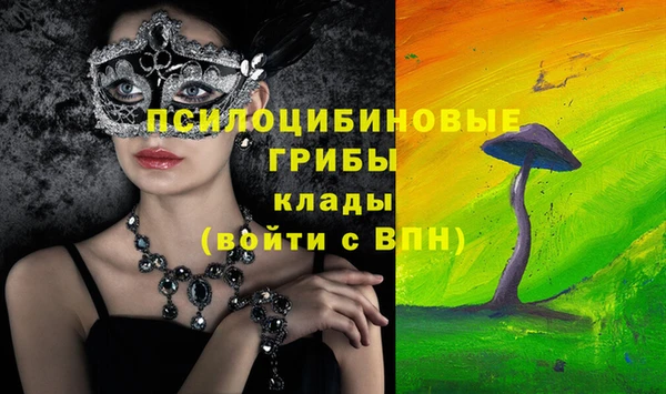 хмурый Медногорск