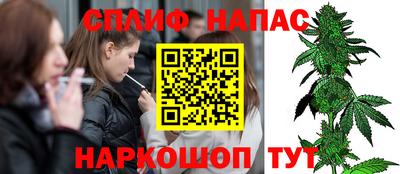 прущие грибы Абинск