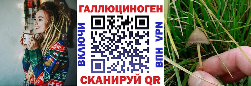 Галлюциногенные грибы Psilocybe  закладка  Нарьян-Мар 
