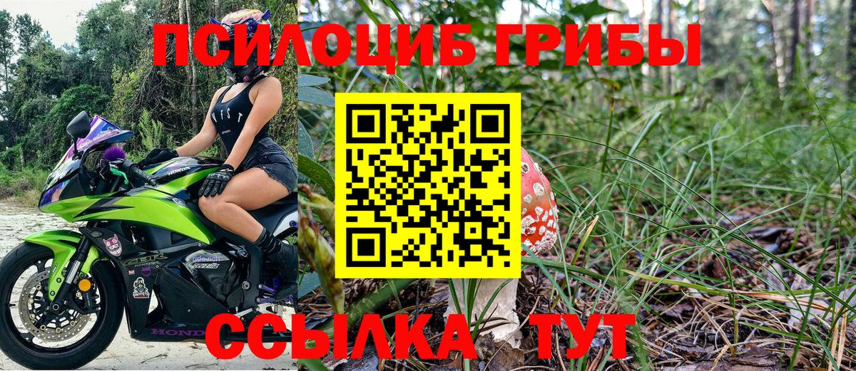 Псилоцибиновые грибы MAGIC MUSHROOMS  где купить   Нарьян-Мар  Вход с VPN 